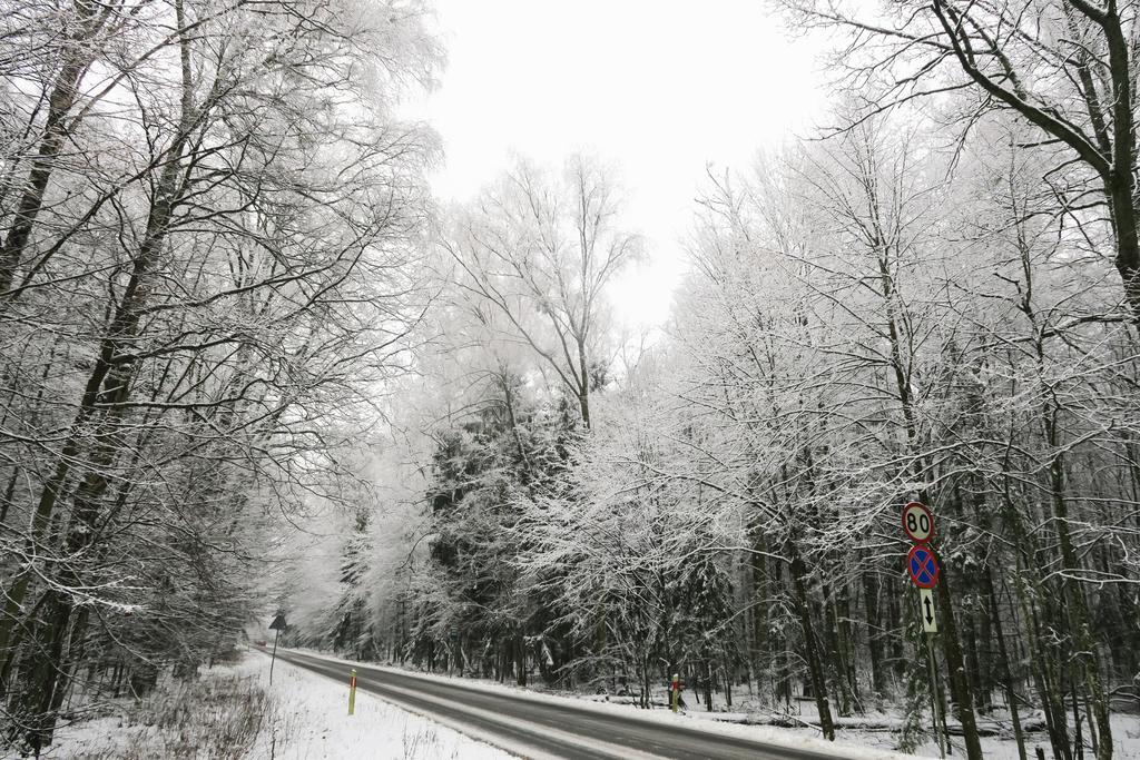 Cztery Pory Roku Bialowieza Exterior foto