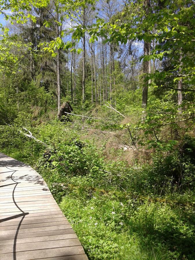 Cztery Pory Roku Bialowieza Exterior foto